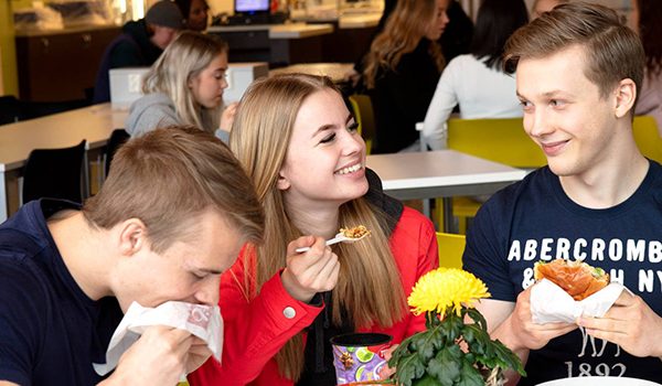 skoleelever skoleelever